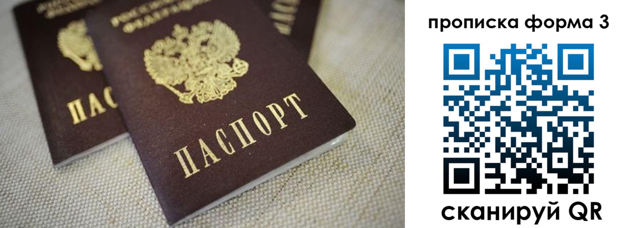 прописка поиск в Шатуре